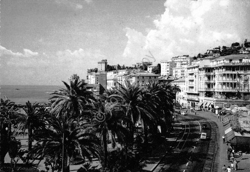 Cartolina Genova Pegli Palme mare Alberghi