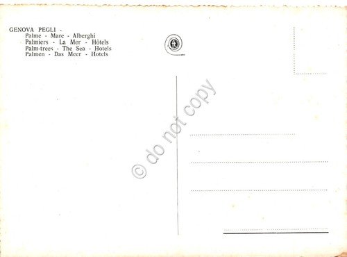 Cartolina Genova Pegli Palme mare alberghi anni '50 | Immagine Gallery 2