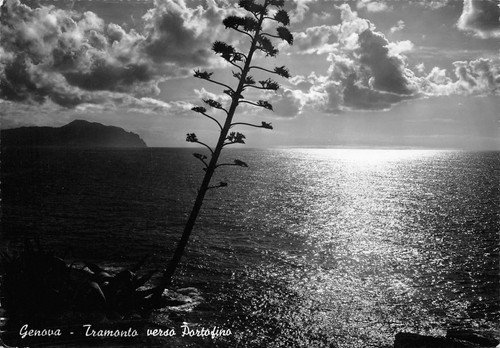 Cartolina Genova Tramonto verso Portofino