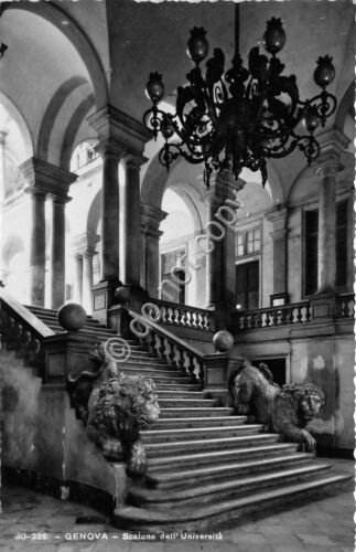 Cartolina Genova Università Scalone Ed Brunner | Immagine principale
