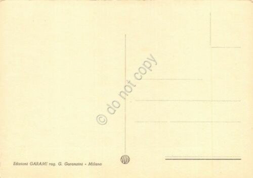 Cartolina ghiacciaio scalatore anni '50? | Immagine Gallery 2