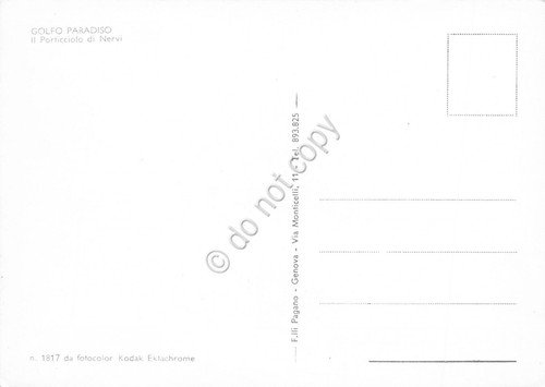 Cartolina Golfo Paradiso porticciolo di Nervi (Genova) | Immagine Gallery 2