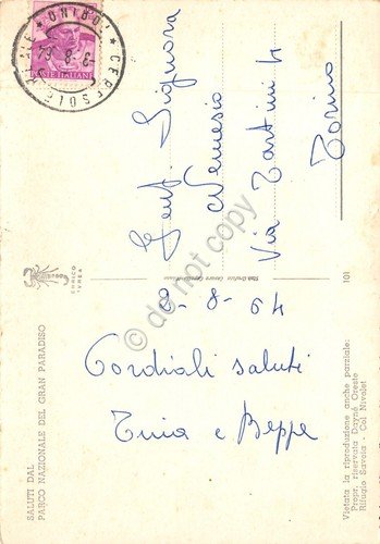 Cartolina Gran Paradiso vedute fauna 1964 (Torino) | Immagine Gallery 2