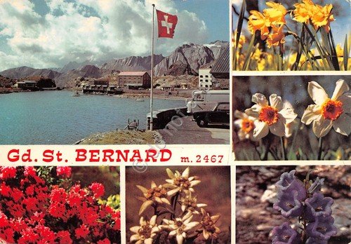 Cartolina Gran San Bernardo 6 vedute Confine Italo Svizzero fiori … | Immagine principale