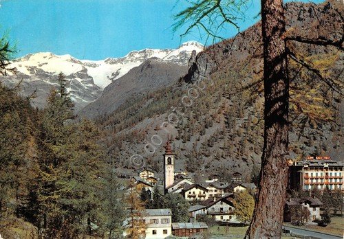 Cartolina Gressoney La Trinit? panorama e Monte Rosa 1973 (Aosta)