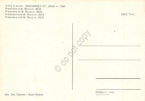 Cartolina Gressoney St Jean panorama parziale vallata e M. Rosa