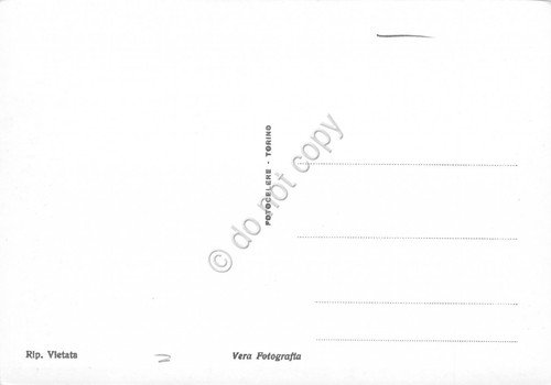 Cartolina Gressoney Torrente Lys pascolo gregge (Aosta)