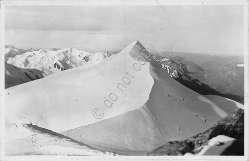 Cartolina Gruppo Ortles Cevedale da Zufall Spitze | Immagine principale