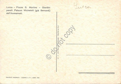 Cartolina Illustrata Frattini Lucca Piazza San Martino
