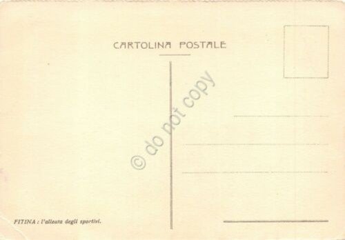 Cartolina illustrata Panorama di montagna pubblicità FITINA al retro