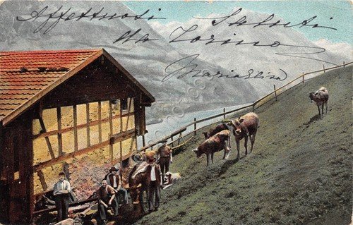 Cartolina Illustrata pascolo con contadini fiume cascina 1914