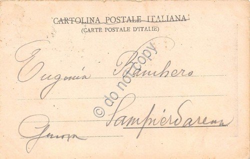 Cartolina Illustrata Pisa Panorama primi '900