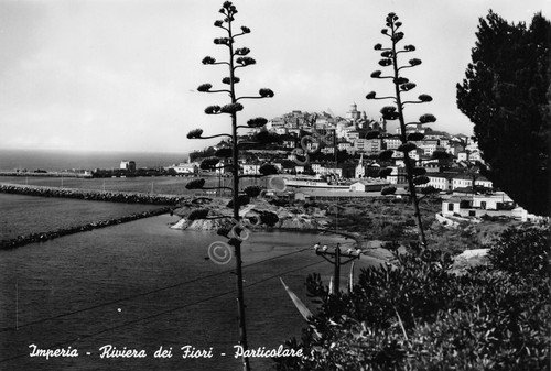 Cartolina Imperia panorama parziale della città anni '50 | Immagine principale