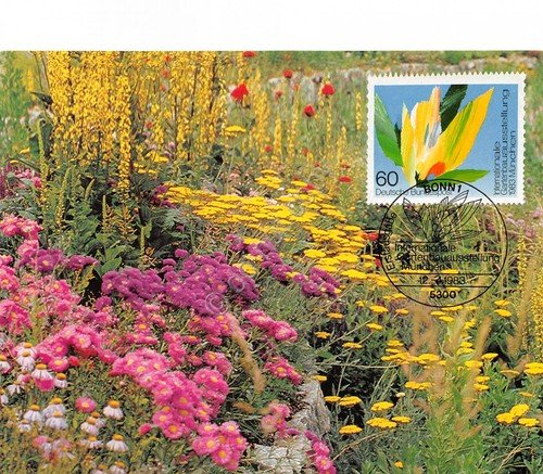 Cartolina Internationale Gartenbauausstellung Munchen timbro filatelico 1983 | Immagine principale