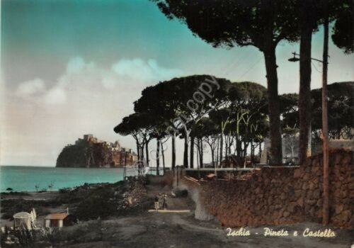 Cartolina Ischia Pineta e Castello colorata | Immagine principale