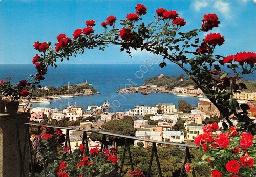 Cartolina Ischia Porto d' Ischia Porto panorama 1979 (Napoli) | Immagine principale