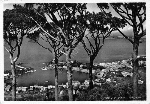 Cartolina Ischia Porto Panorama 1958