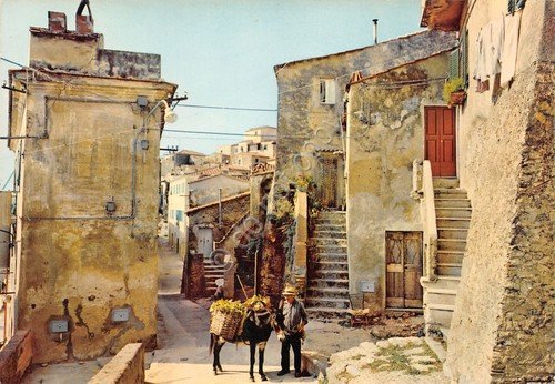 Cartolina Isola d'Elba Capoliveri il Fosso animata mulo asino anni … | Immagine principale