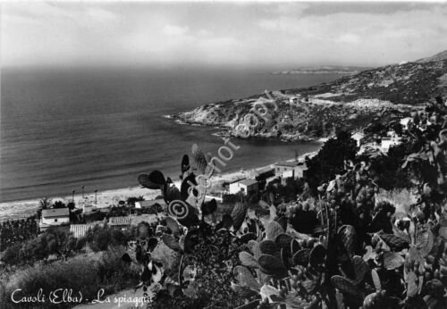 Cartolina Isola d'Elba Cavoli Spiaggia dall'alto - anni '50 (Livorno)