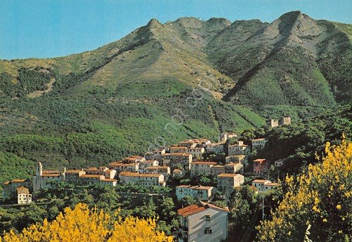 Cartolina Isola d'Elba Marciana panorama e case anni '70