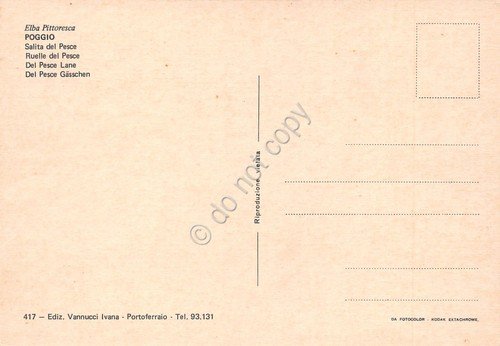 Cartolina Isola d'Elba Poggio salita del Pesce case anni '70