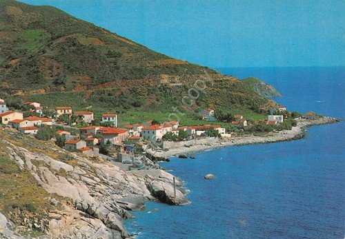 Cartolina Isola d'Elba Pomonte panorama con case anni '70