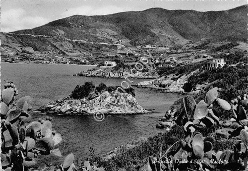 Cartolina Isola d'Elba Procchio Isolotto 1955