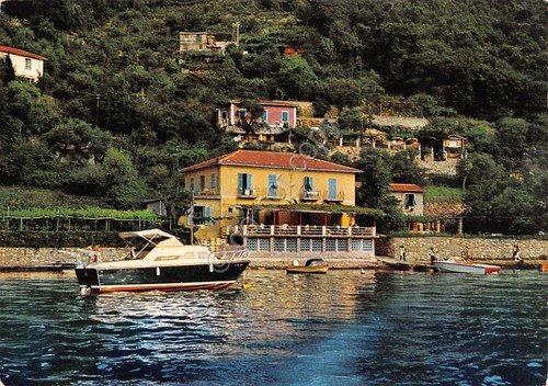 Cartolina Isola Palmaria Portovenere Locanda Lorena dal mare 1972 macchia