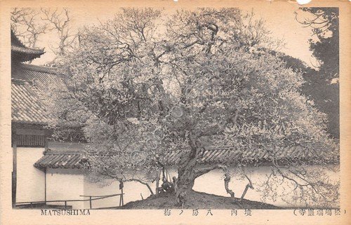 Cartolina Japan Matsushima view | Immagine principale