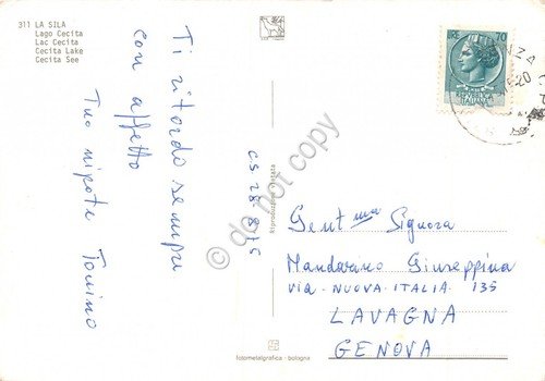 Cartolina La Sila Lago Cecita 1975 (Cosenza) | Immagine Gallery 2