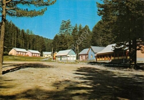 Cartolina La Sila soggiorno montano della M.M. colonie 1969