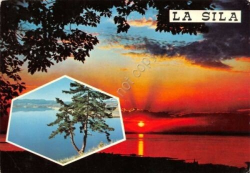 Cartolina La Sila tramonto e panorama (Cosenza) | Immagine principale