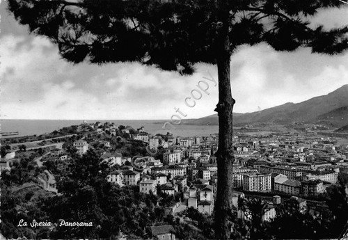 Cartolina La Spezia Panorama 1954 | Immagine principale