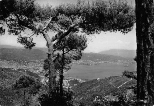 Cartolina La Spezia panorama dall'alto 1955