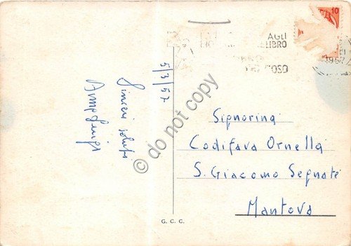 Cartolina La Spezia Viale Italia 1957