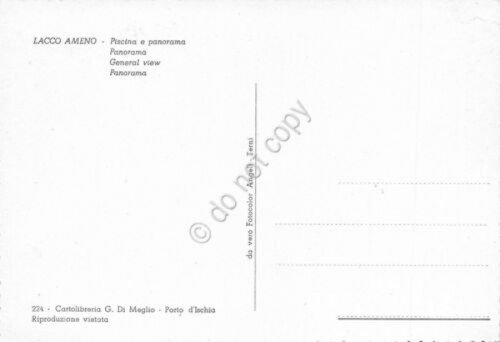 Cartolina Lacco Ameno Piscina e panorama (Napoli)