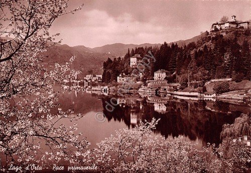 Cartolina Lago d'Orta panorama con fiori di pesco Fotocelere