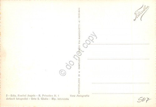 Cartolina Lago d'Orta panorama con fiori di pesco Fotocelere