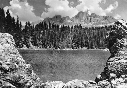 Cartolina Lago di Carezza verso Catinaccio 1956