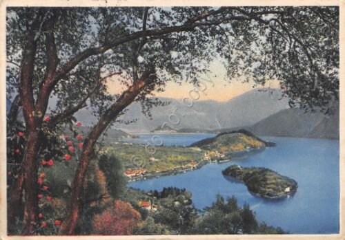 Cartolina Lago di Como Isola Comacina con veduta della Tremezzina …