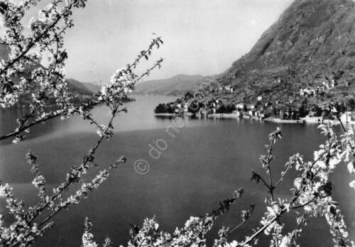 Cartolina Lago di Como panorama primaverile 1958