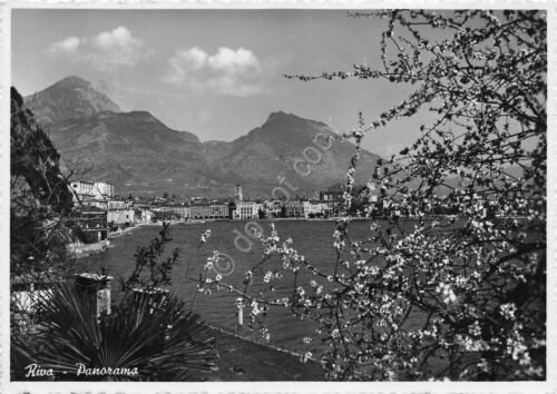 Cartolina Lago di Garda Riva panorama con fiori anni '50