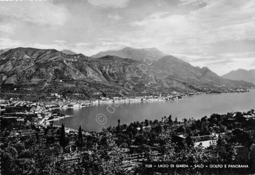 Cartolina Lago di Garda Salò golfo e panorama 1951