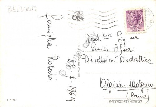 Cartolina Lago di Misurina vedute e stella alpina 1969 (Belluno)