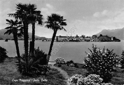 Cartolina lago Maggiore Isola Bella dalla riva 1956