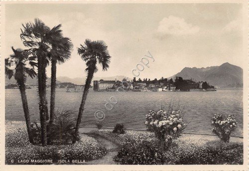 Cartolina Lago Maggiore Isola Bella Palme e fiori