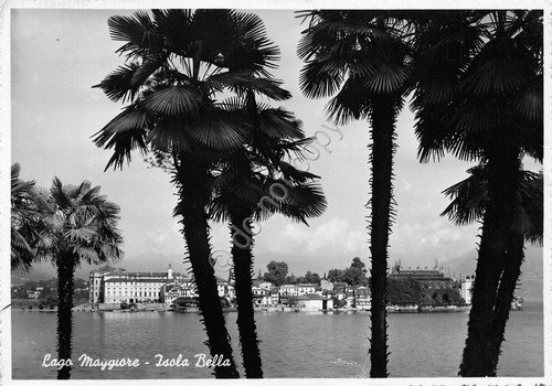 Cartolina lago Maggiore Isola Bella vista da palme panorama 1956