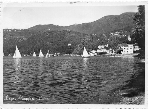 Cartolina lago Maggiore Luino panorama da lago barca a vela …