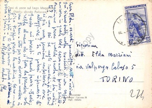 Cartolina Lago Maggiore panorama fra piante anni '50 | Immagine Gallery 2