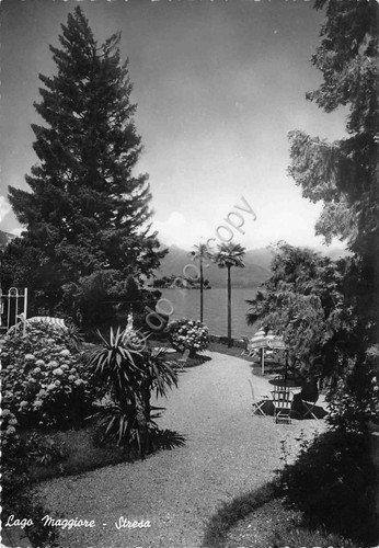 Cartolina Lago Maggiore Stresa giardino | Immagine principale